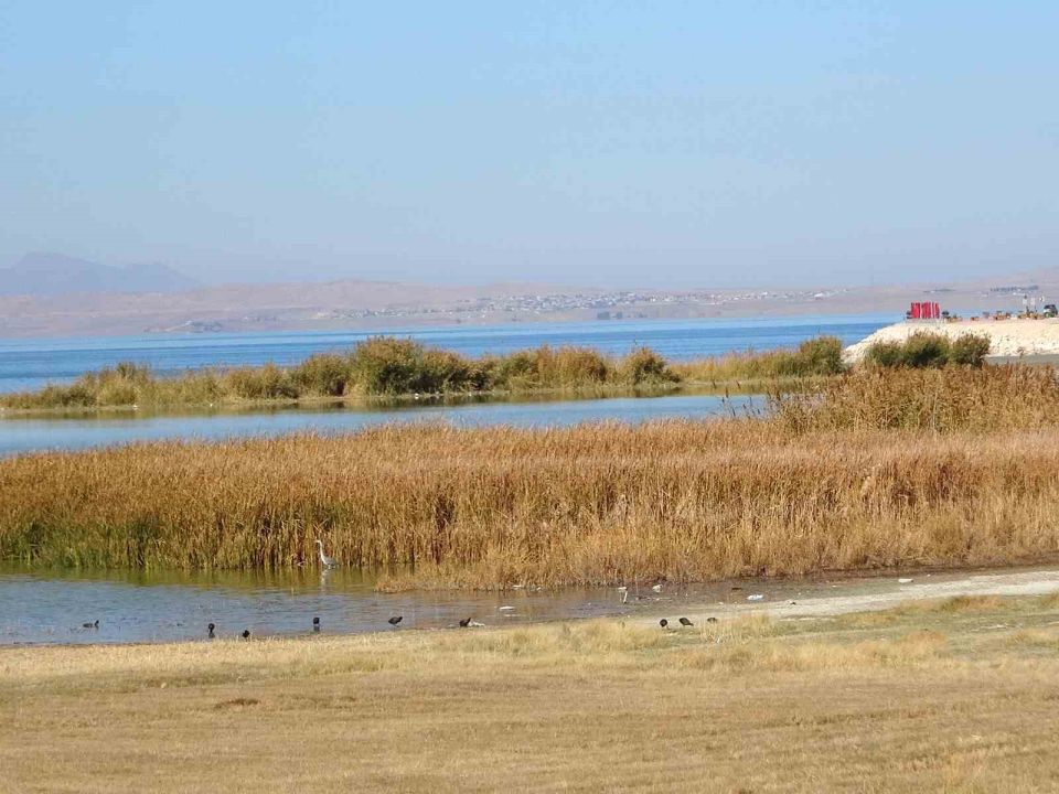 Van Gölü Havzası, Türkiye’nin en fazla sulak alanına ev sahipliği yapıyor