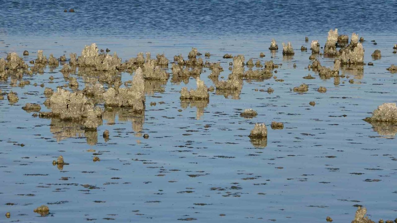Erçek Gölü’nde su çekilince mikrobiyalitler ortaya çıktı
