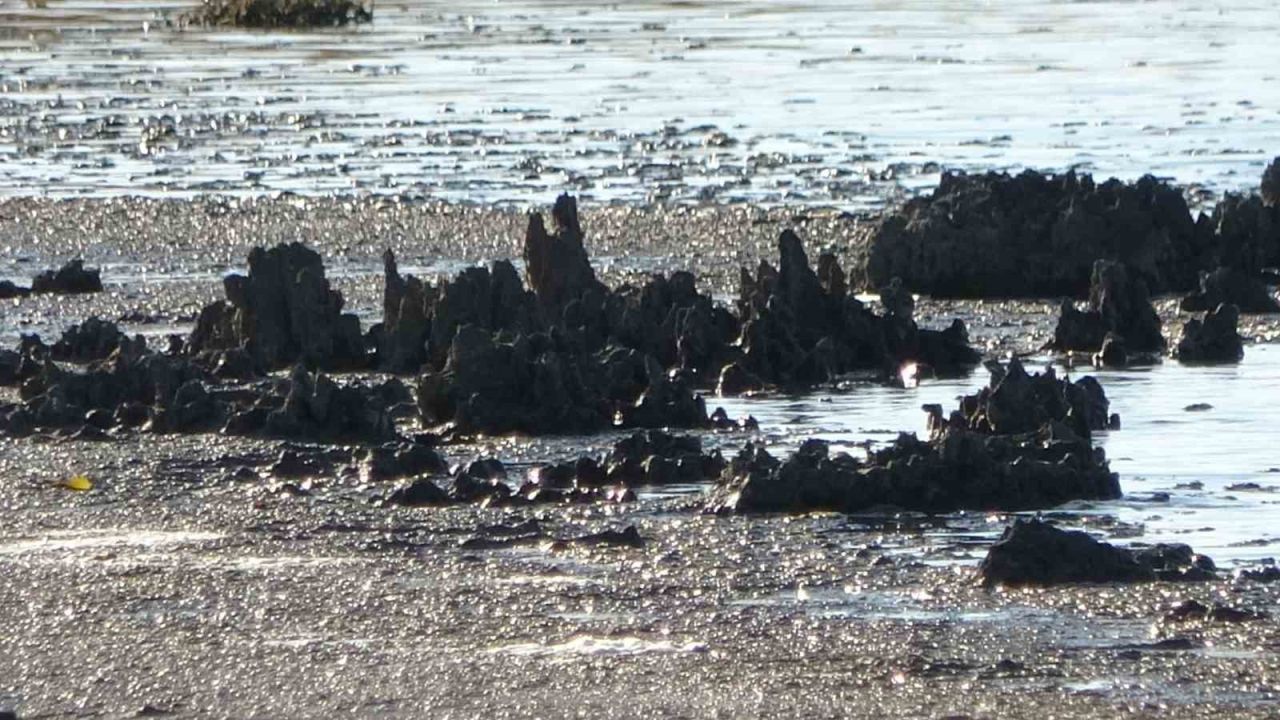 Erçek Gölü’nde su çekilince mikrobiyalitler ortaya çıktı