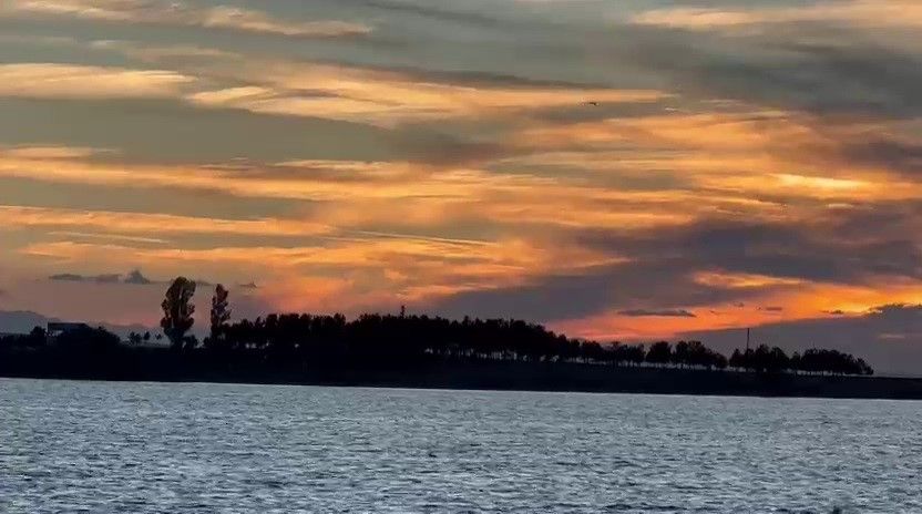 Köyceğiz Göleti’nde yaban ördeklerinden görsel şölen
