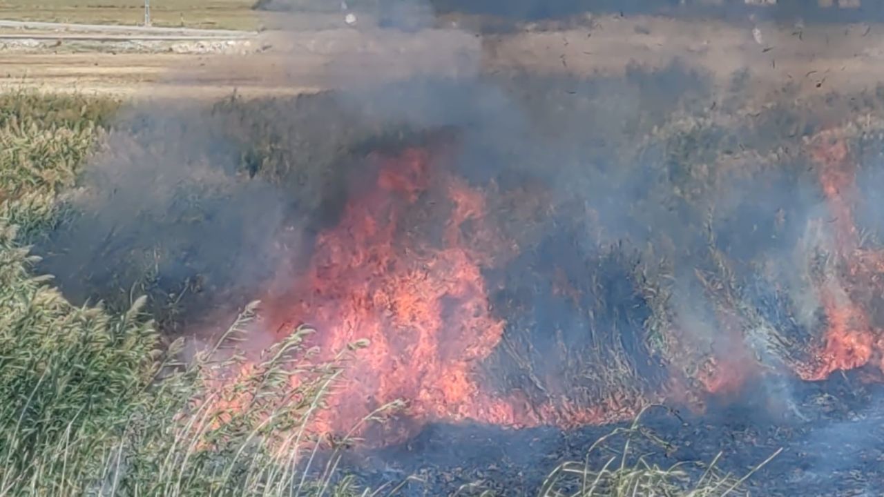 Prof. Dr. Lokman Aslan: "Sulak alanlar tabiatın rahimleridir"