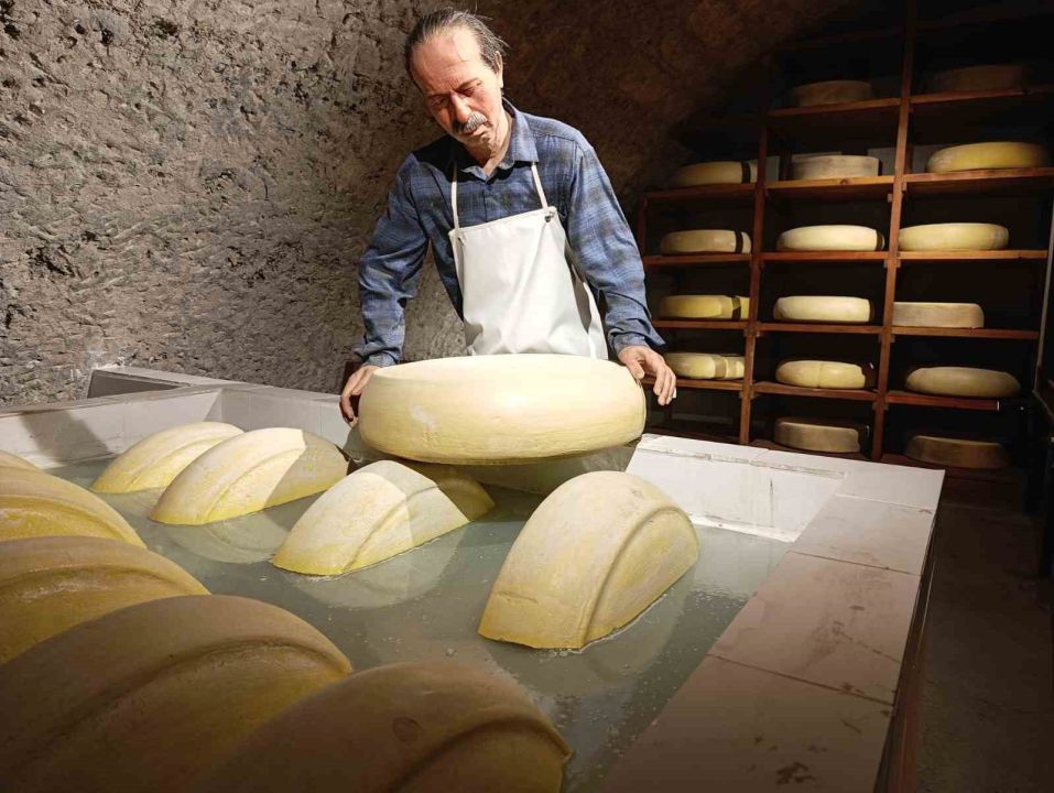 Kars Peynir Müzesi yoğun ilgi görüyor