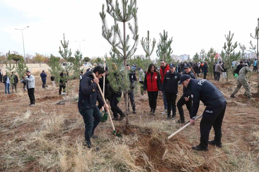 Muş’ta 20 bin fidan toprakla buluşturuldu