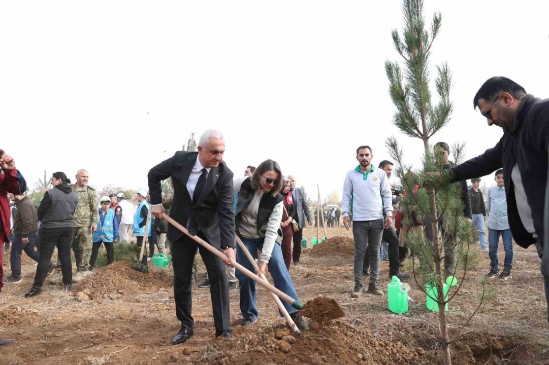 Muş’ta 20 bin fidan toprakla buluşturuldu