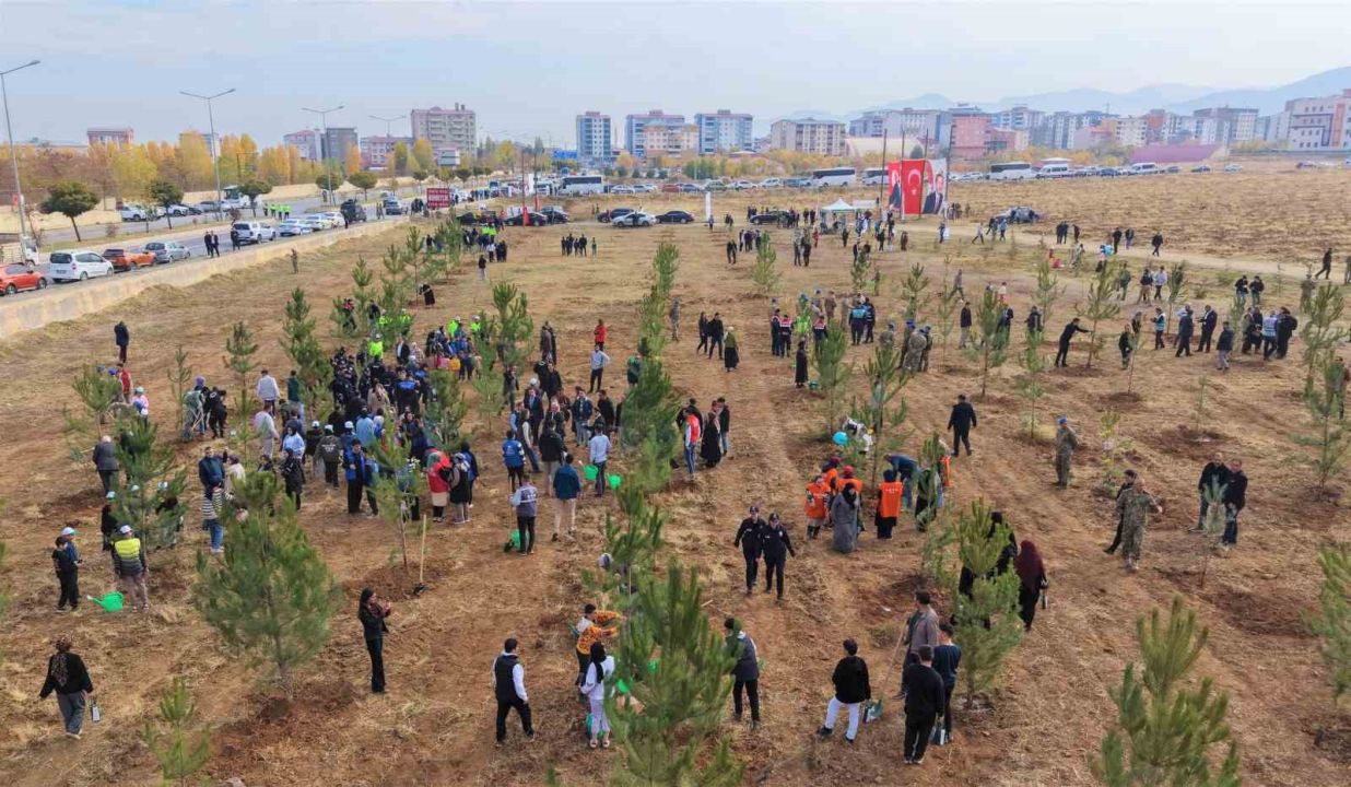 Muş’ta 20 bin fidan toprakla buluşturuldu