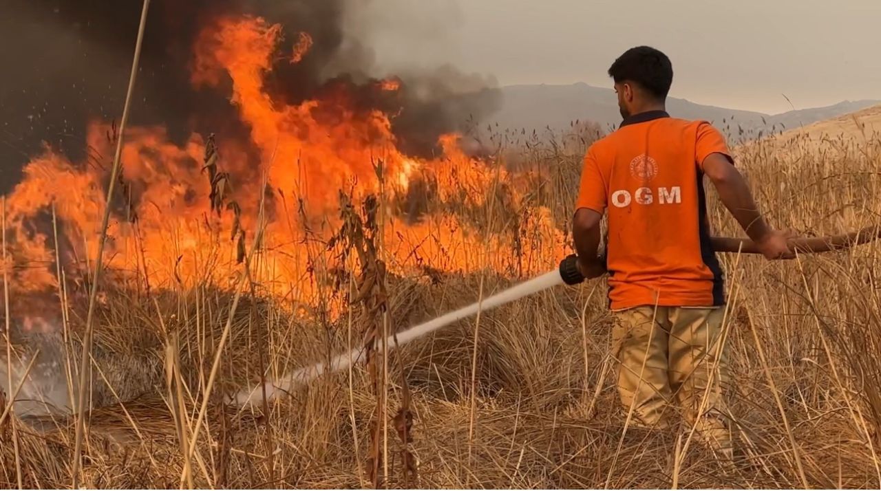 Hakkari’nin Yüksekova kuş cenneti alevlere teslim: Yangın kontrol altına alınamıyor