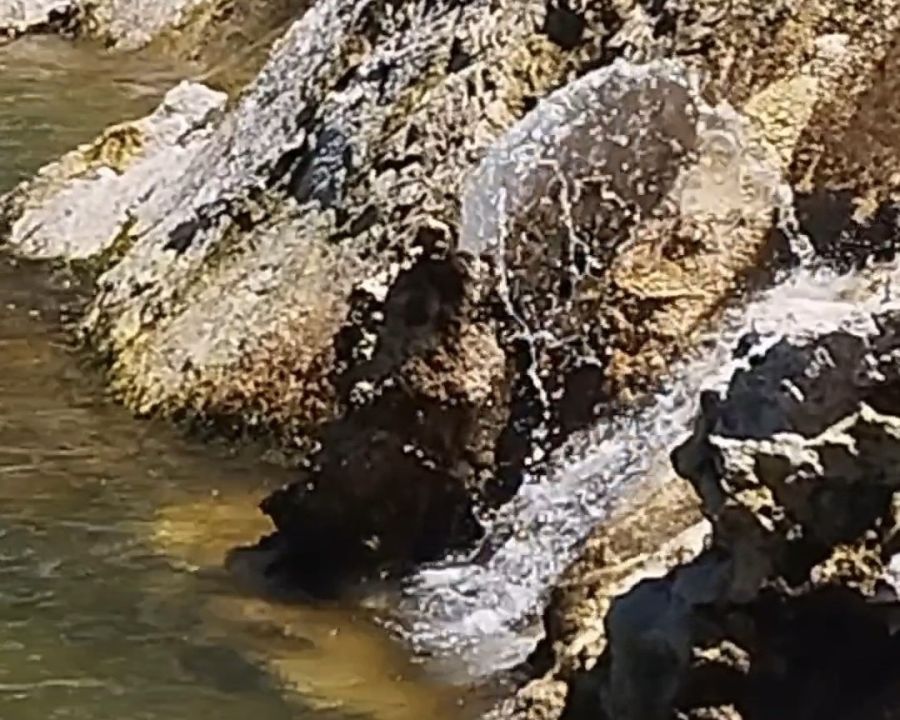 Van Gölü’nde şaşırtan görüntü