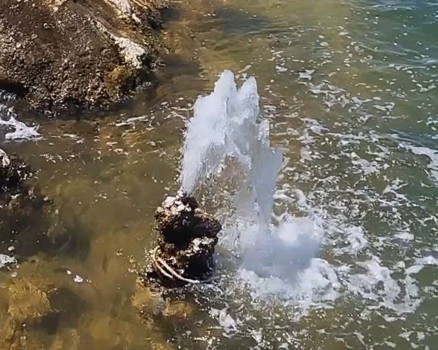 Van Gölü’nde şaşırtan görüntü