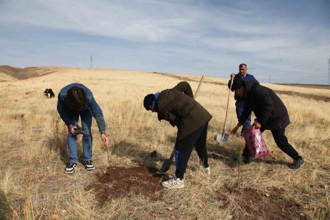 Bitlis’in  Ahlat İlçesinde "Maziden Atiye" programı kapsamında öğrenciler fidan dikti