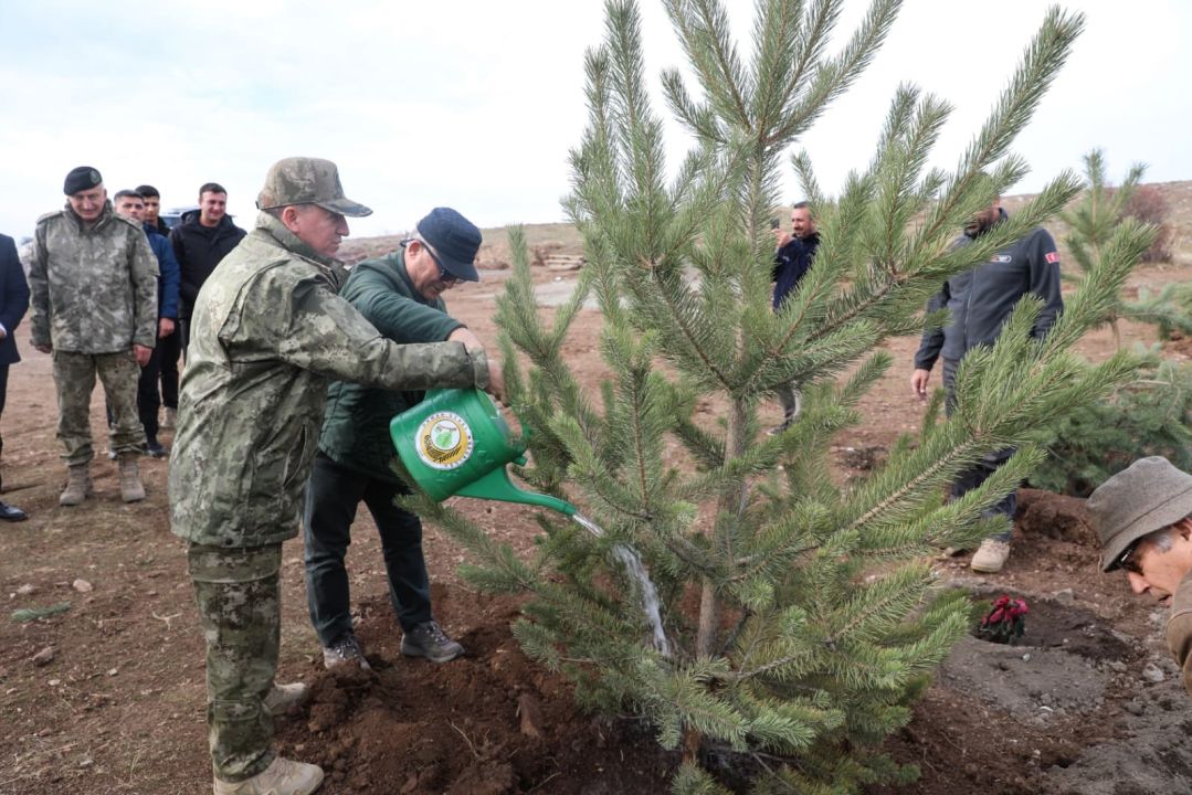 Şehit arkadaşlarının hatırasına 2 bin 400 rakımlı tepeye ağaç diktiler