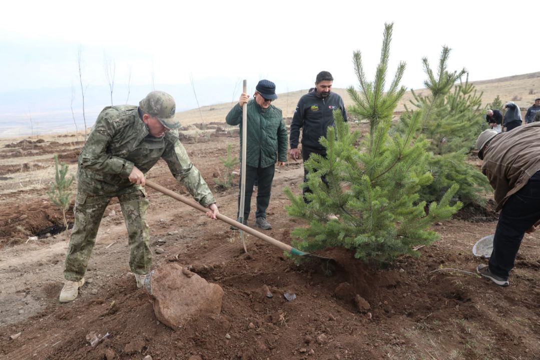 Şehit arkadaşlarının hatırasına 2 bin 400 rakımlı tepeye ağaç diktiler