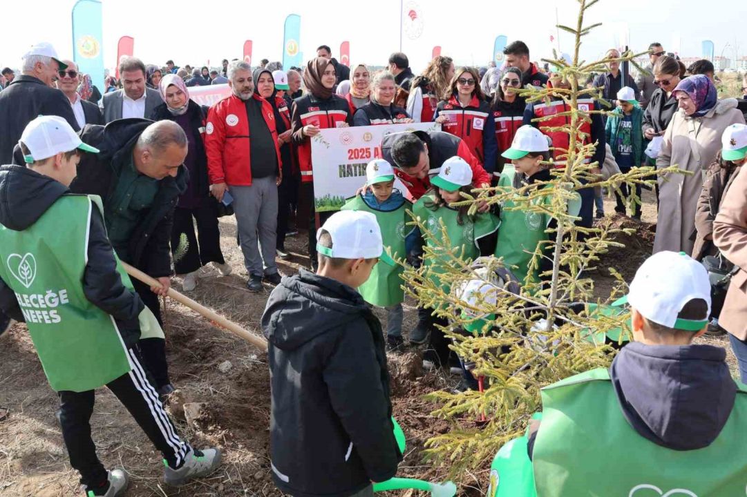 Aile Yılı’nda anlamlı buluşma: Aile Hatıra Ormanı’nda fidanlar toprakla buluştu