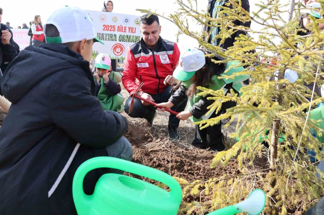 Aile Yılı’nda anlamlı buluşma: Aile Hatıra Ormanı’nda fidanlar toprakla buluştu