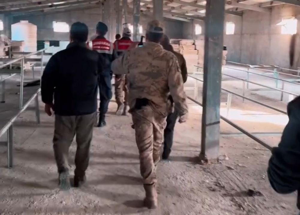 Kızıl şahin emin ellerde