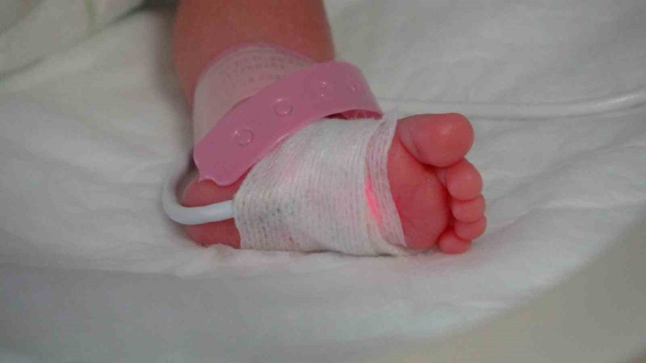 Dünya Prematüre Günü kapsamında "aceleci bebekler" için özel etkinlik