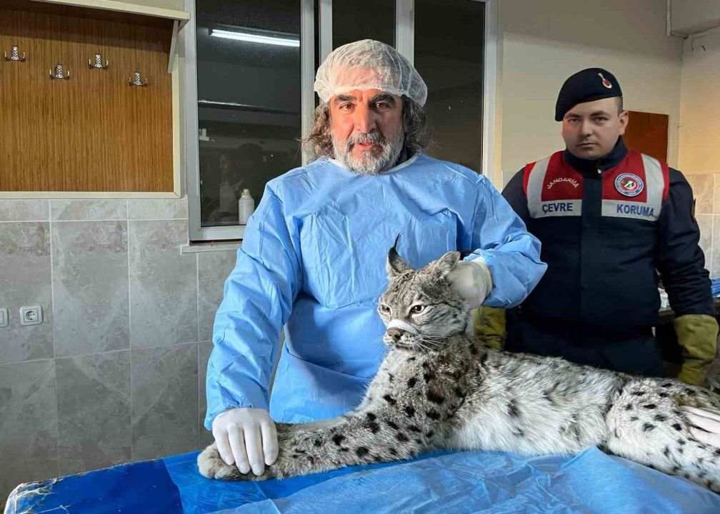 Van YYÜ Yaban Hayvanları Koruma ve Rehabilitasyon Merkezi Müdürü Prof. Dr. Lokman Aslan: "İnsan-yaban hayvanı teması biyogüvenlik açısından ciddi risk taşıyor"