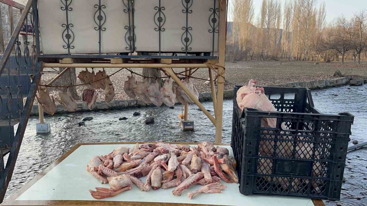 Kars kazı geleneksel yöntemlerle kurutuluyor: Kış sofralarının vazgeçilmezi hazırlanıyor