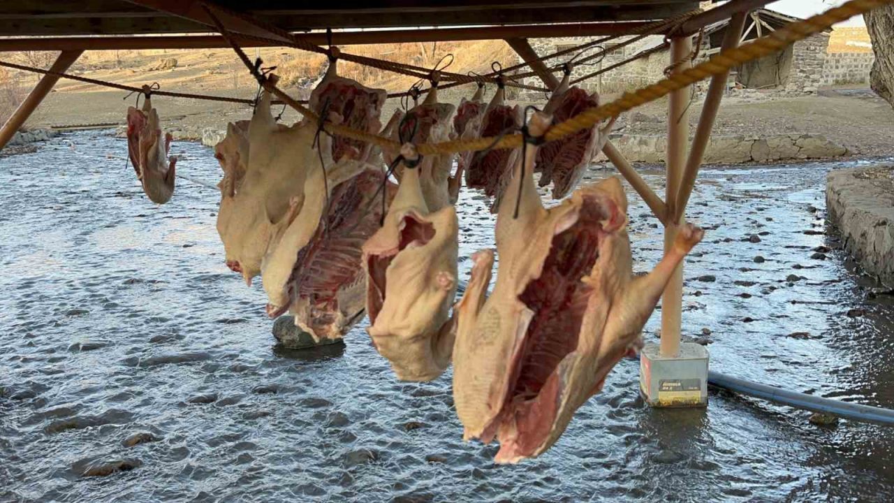 Kars kazı geleneksel yöntemlerle kurutuluyor: Kış sofralarının vazgeçilmezi hazırlanıyor