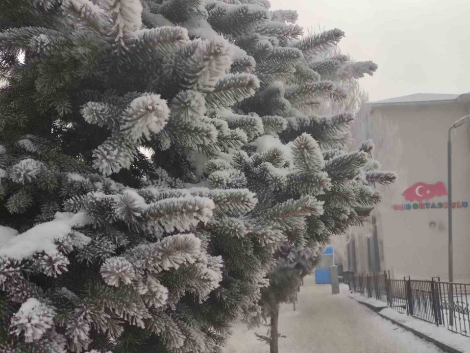 Ardahan’da Ağaçlar kırağı tuttu