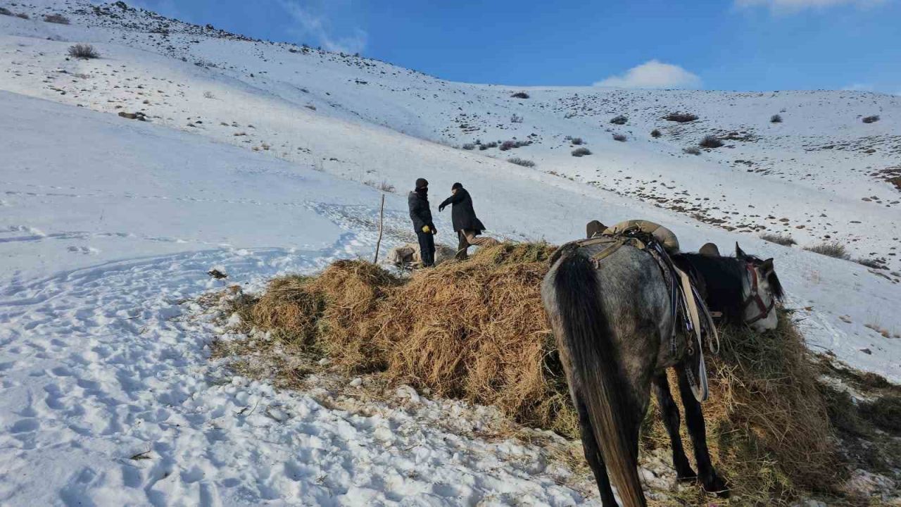Erciş’te asırlık kış mesaisi: Otlar kızaklarla köye taşınıyor