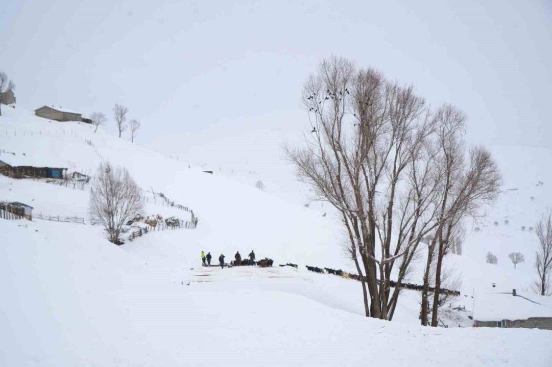 Keçi sürüsü 4 saatlik zorlu yolculukla köye ulaştırıldı