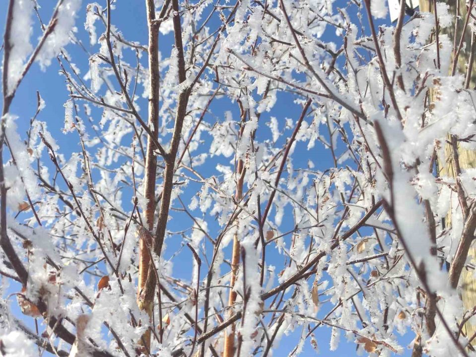 Ardahan’da Sibirya soğukları hayatı olumsuz etkiliyor