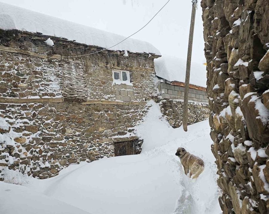 Bahçesaray’da 71 yerleşim yerinin yolu kardan kapalı