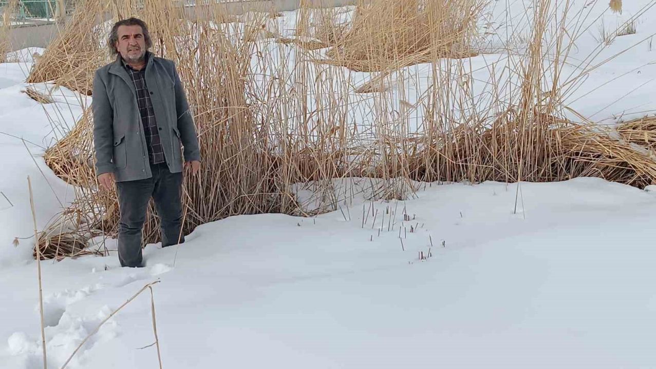 Sulak alanlar için hayati çağrı