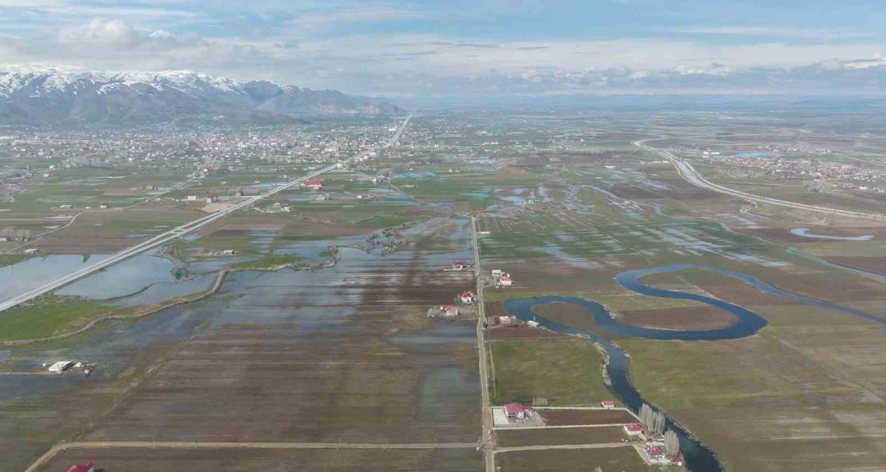Muş Ovası’nda kar erimesi ve sağanak tarım arazilerini sular altında bıraktı