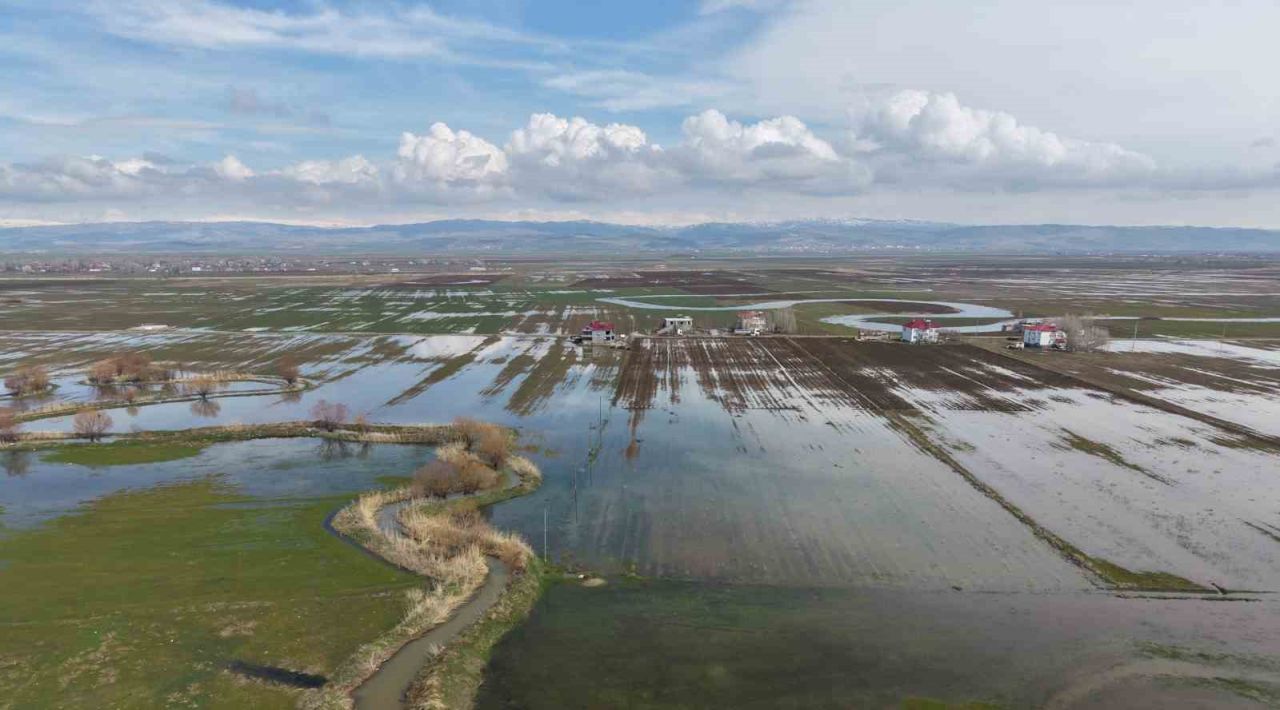 Muş Ovası’nda kar erimesi ve sağanak tarım arazilerini sular altında bıraktı