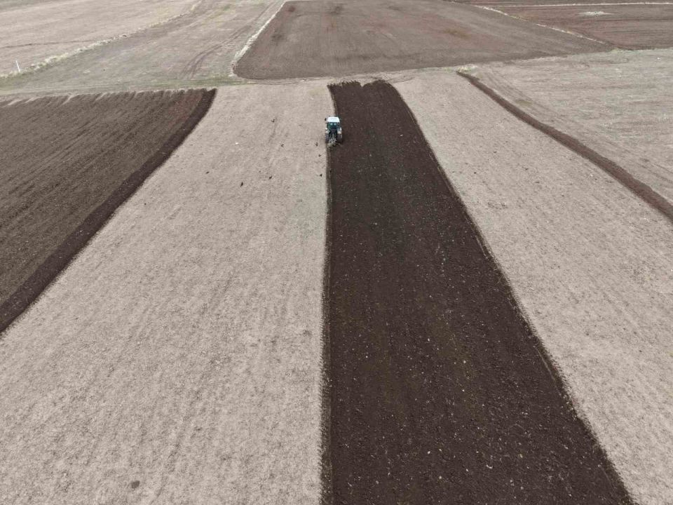 Iğdır’da ekin sezonu başladı