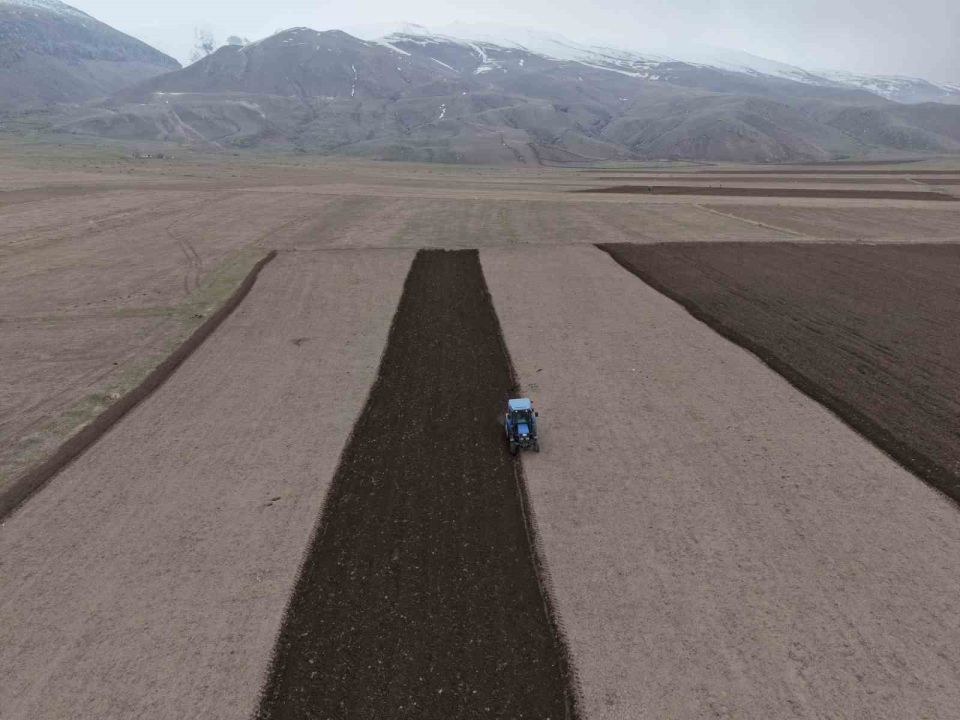 Iğdır’da ekin sezonu başladı