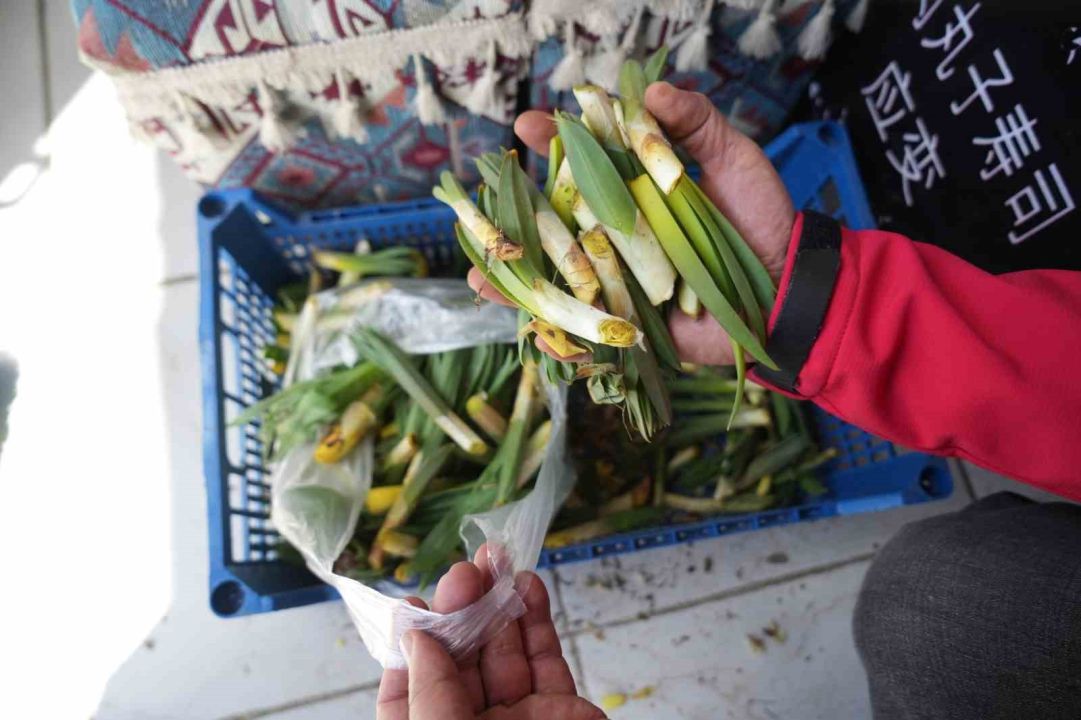 Muş’ta "askıda çiriş otu" uygulamasıyla ihtiyaç sahiplerine ulaştırılıyor