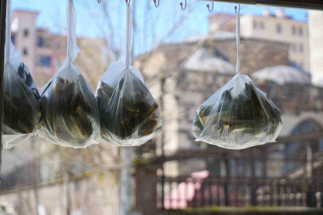 Muş’ta "askıda çiriş otu" uygulamasıyla ihtiyaç sahiplerine ulaştırılıyor