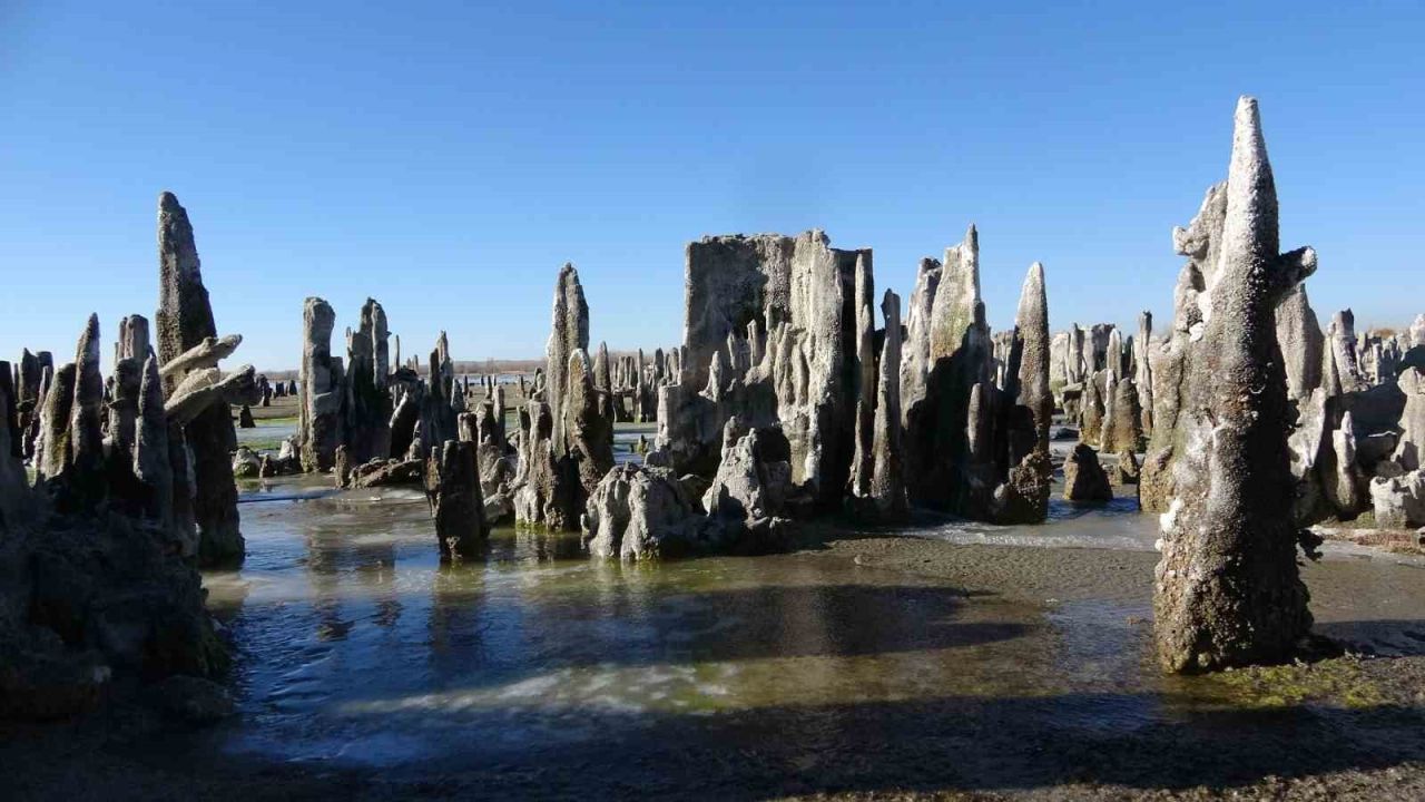 Van Gölü’nün mikrobiyalitleri Guinness rekorlar kitabına girme yolunda