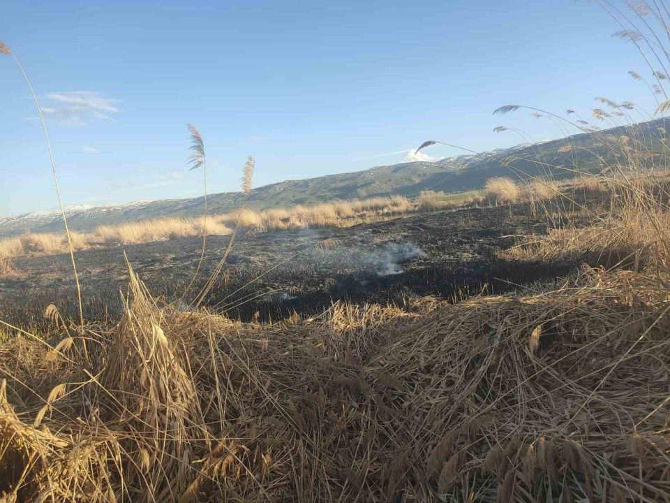 Muradiye'de Sazlık Yangını