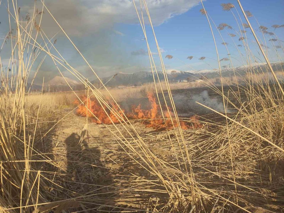 Muradiye'de Sazlık Yangını
