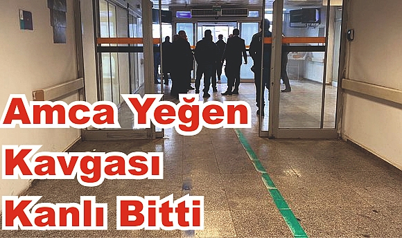 Amca yeğen kavgası kanlı bitti