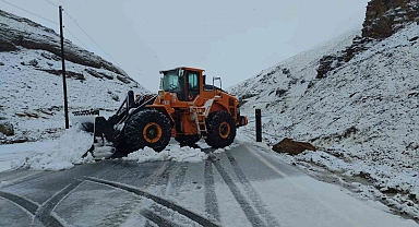 Bahçesaray yolu kar yağışı nedeniyle ulaşıma kapatıldı