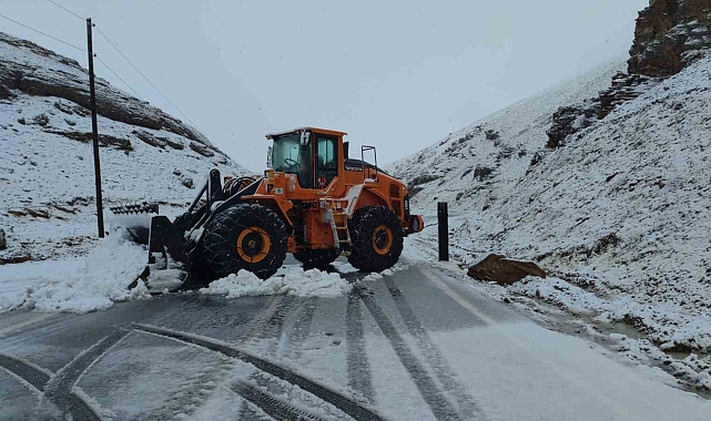 Bahçesaray yolu kar yağışı nedeniyle ulaşıma kapatıldı