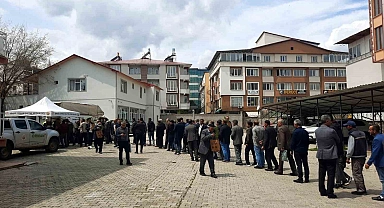 Bingöl'de 10 bin fidan dağıtıldı