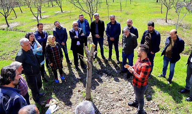 Bingöl'de ağaç budama ve aşılama eğitimi başladı