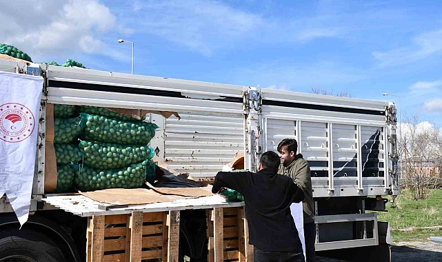 Çiftçilere kavılca buğdayı tohumu ve tohumluk patates dağıtıldı