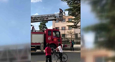 Çıktığı ağaçtan inemeyen çocuğu itfaiye kurtardı