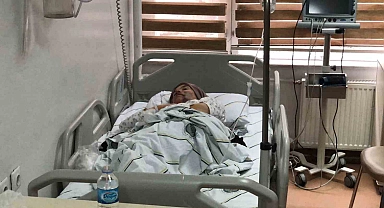 Erzurum'da kurt dehşeti: 5 yaralı