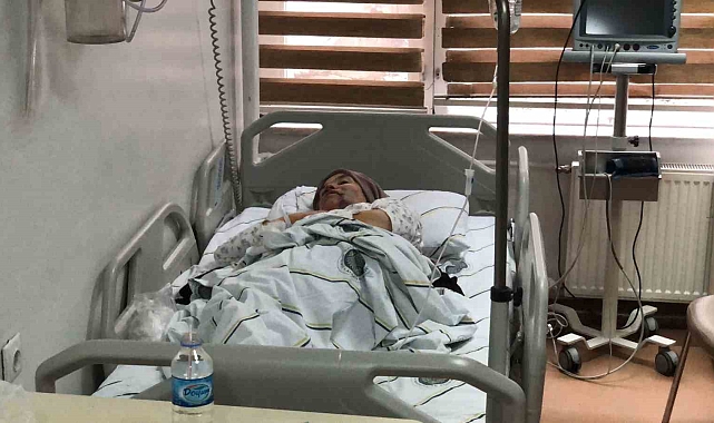 Erzurum'da kurt dehşeti: 5 yaralı