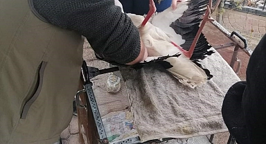 Iğdır'da yaralı leylek tedavi altına alındı