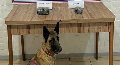 Karpuz yüklü tırdan 62 litre 420 gram sıvı metamfetamin çıktı