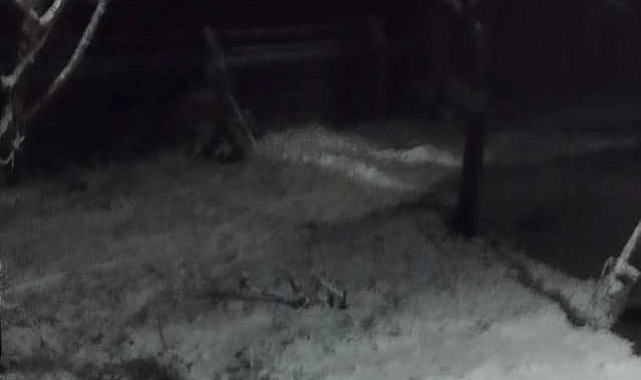 Malatya'ya nisan ayı yağan kar şaşırttı