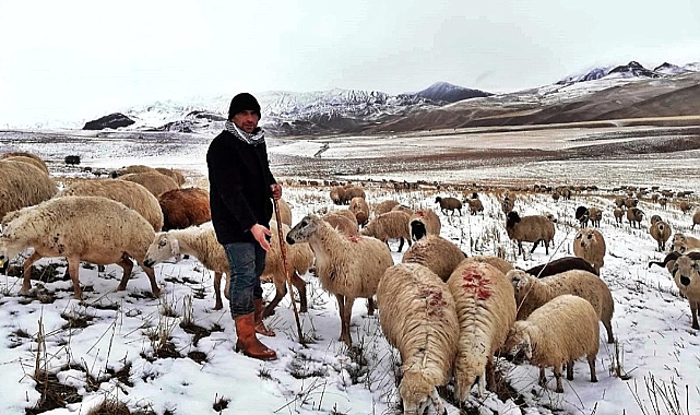 Patnos'ta ısınamayan havalar hayvanları kötü etkiledi